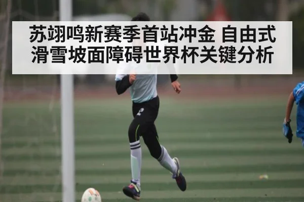 苏翊鸣新赛季首站冲金 自由式滑雪坡面障碍世界杯关键分析（kaiyun）